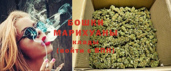 дмт Дмитриев