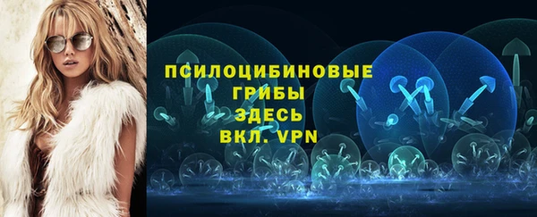 спайс Дмитровск