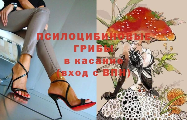 спайс Дмитровск