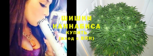 спайс Дмитровск